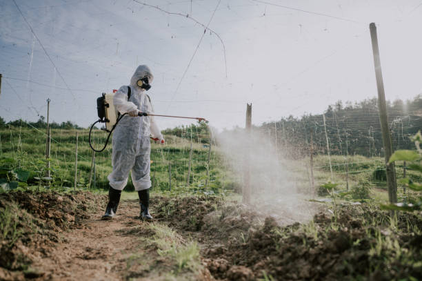 Best Affordable Pest Control Services  in Flemingsburg, KY