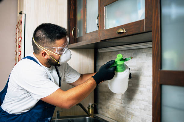Best Pest Prevention Services  in Flemingsburg, KY