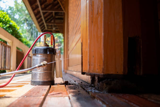Best Local Pest Control Services  in Flemingsburg, KY