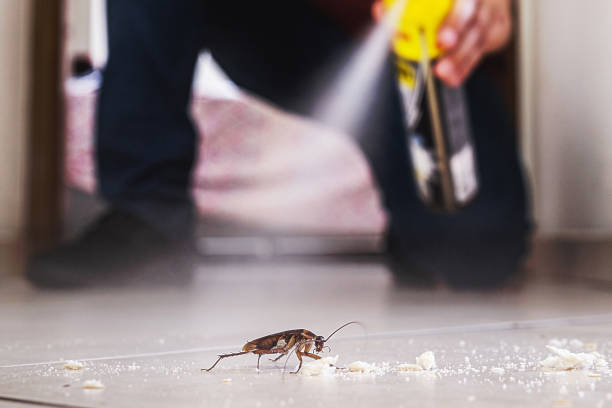 Best Wildlife Control Services  in Flemingsburg, KY